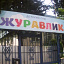 Журавлик, детский сад №33 фотография №1