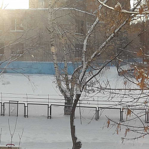 Детский сад №29