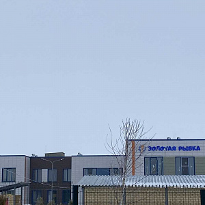 Золотая рыбка, детский сад №1