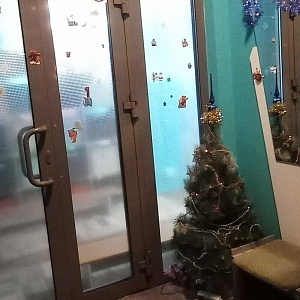 ТутРастут, частный детский сад
