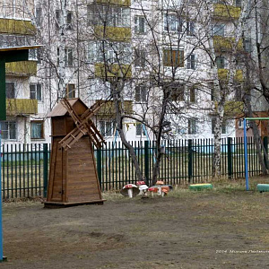 Одуванчик, детский сад №106 фотография №1