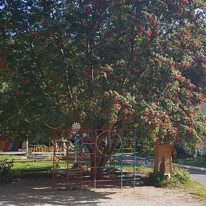 Яблочко, детский сад №10 фотография №1