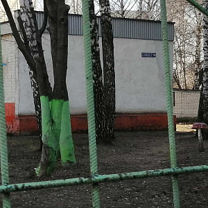 Детский сад №280