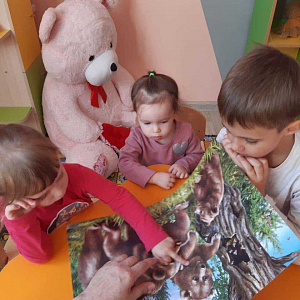 New Family, сеть частных детских садов и детских центров 50 лет ВЛКСМ, 53/2 фотография №1