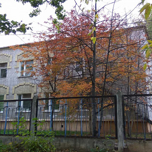 Ласточка, детский сад №392 комбинированного вида