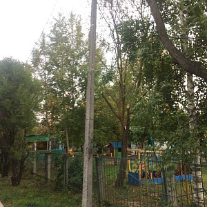 Гнездышко, детский сад №108 Ярославская, 38Б фотография №1