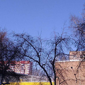 Антошка, центр развития ребенка-детский сад №170