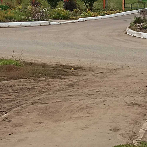 Ромашка, детский сад