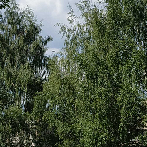 Салават купере, детский сад №297 комбинированного вида