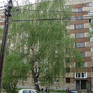 Простоквашино, частный детский сад Холмогорова, 72 фотография №2