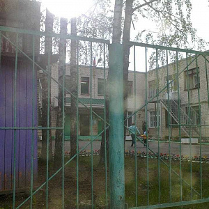 Яблонька, детский сад №66 фотография №1