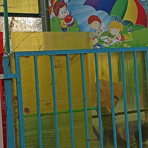 Умничка, частный детский сад