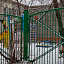 Русалочка, детский сад №25 фотография №2