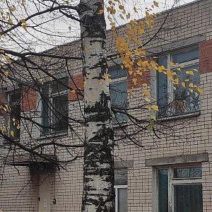 Ласточка, детский сад №381 комбинированного вида