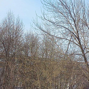 Золотой ключик, детский сад №219 комбинированного вида фотография №2
